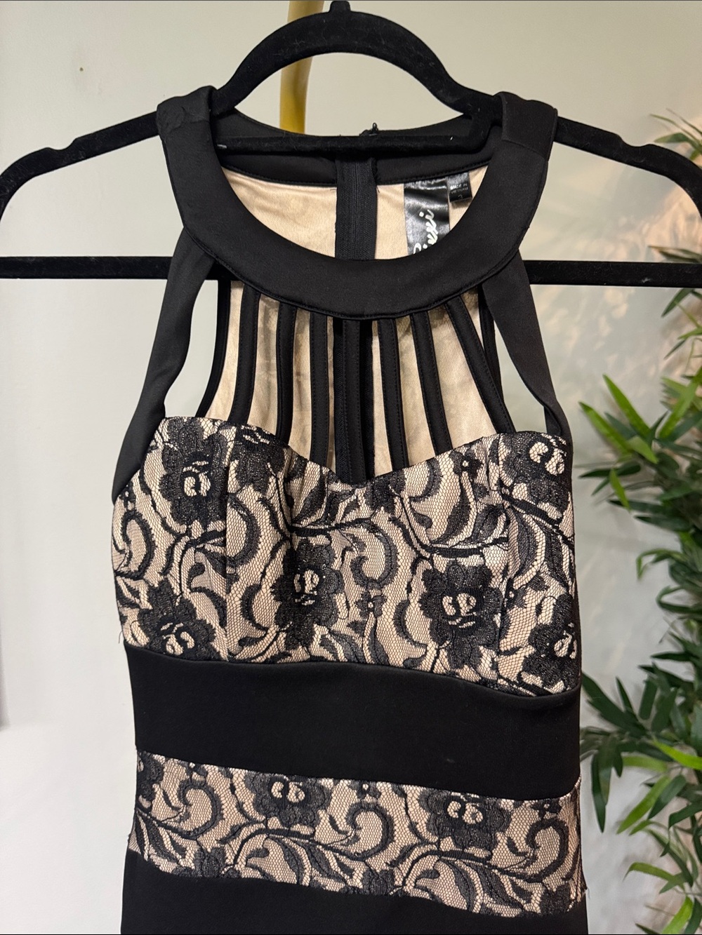Trixxi Black and Beige Lace Striped Halter Mini Dress EUC 3 - Picture 4 of 11
